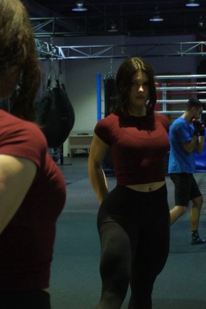 Bidibolder Photo #32