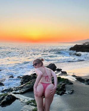 Bug Universe Photo #13