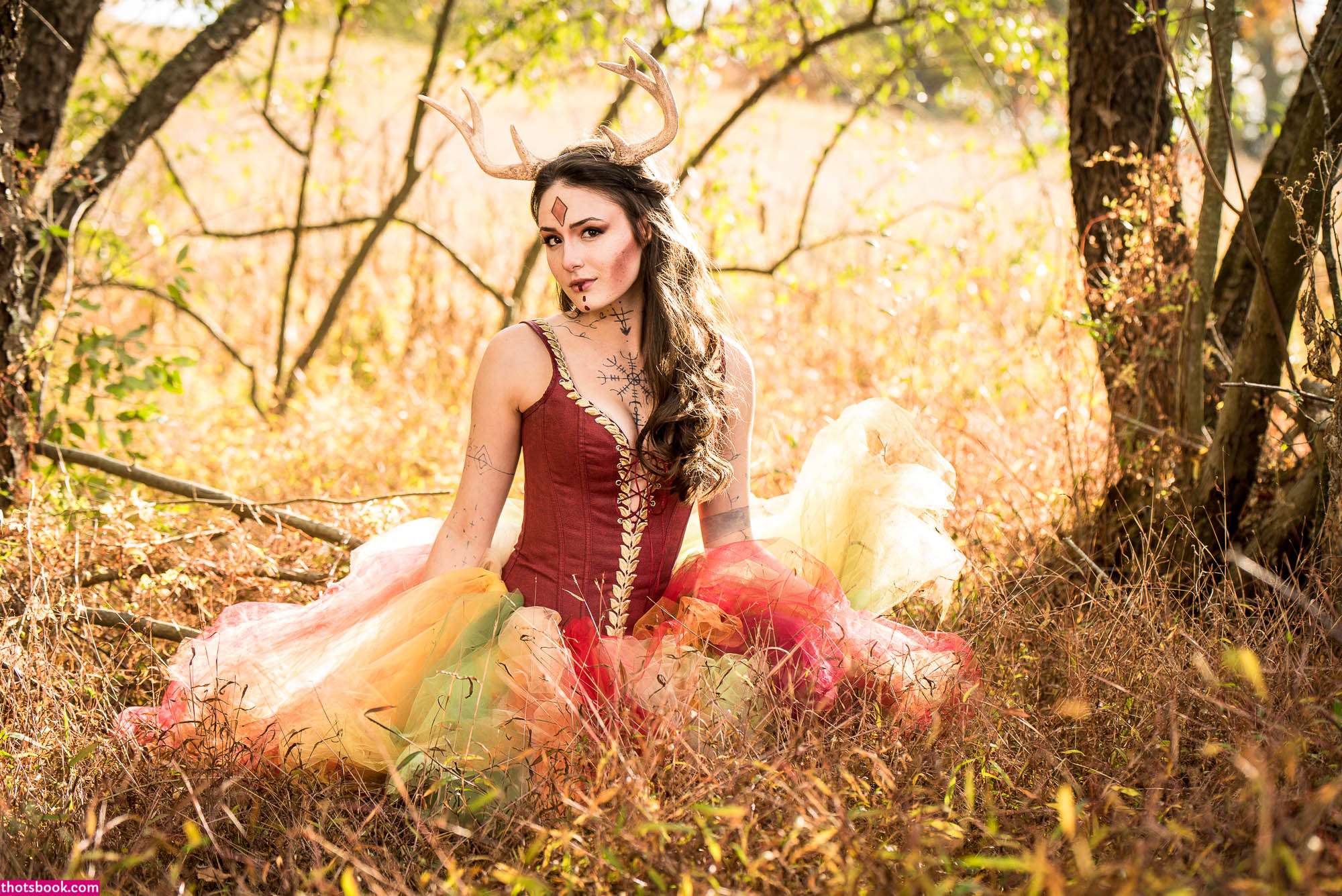 Creator Photo #1855724