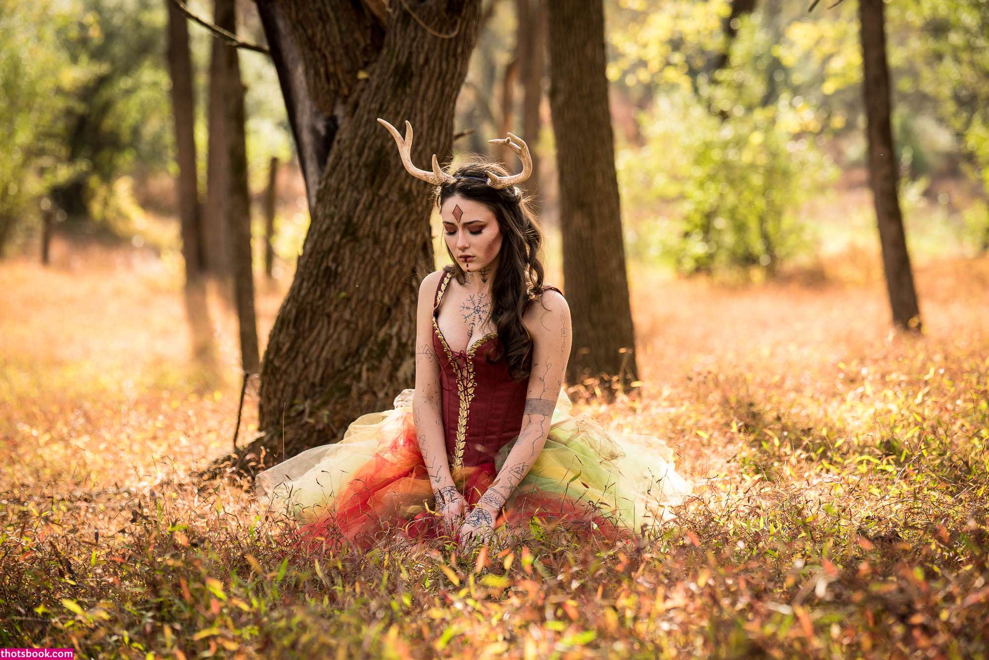 Creator Photo #1855725