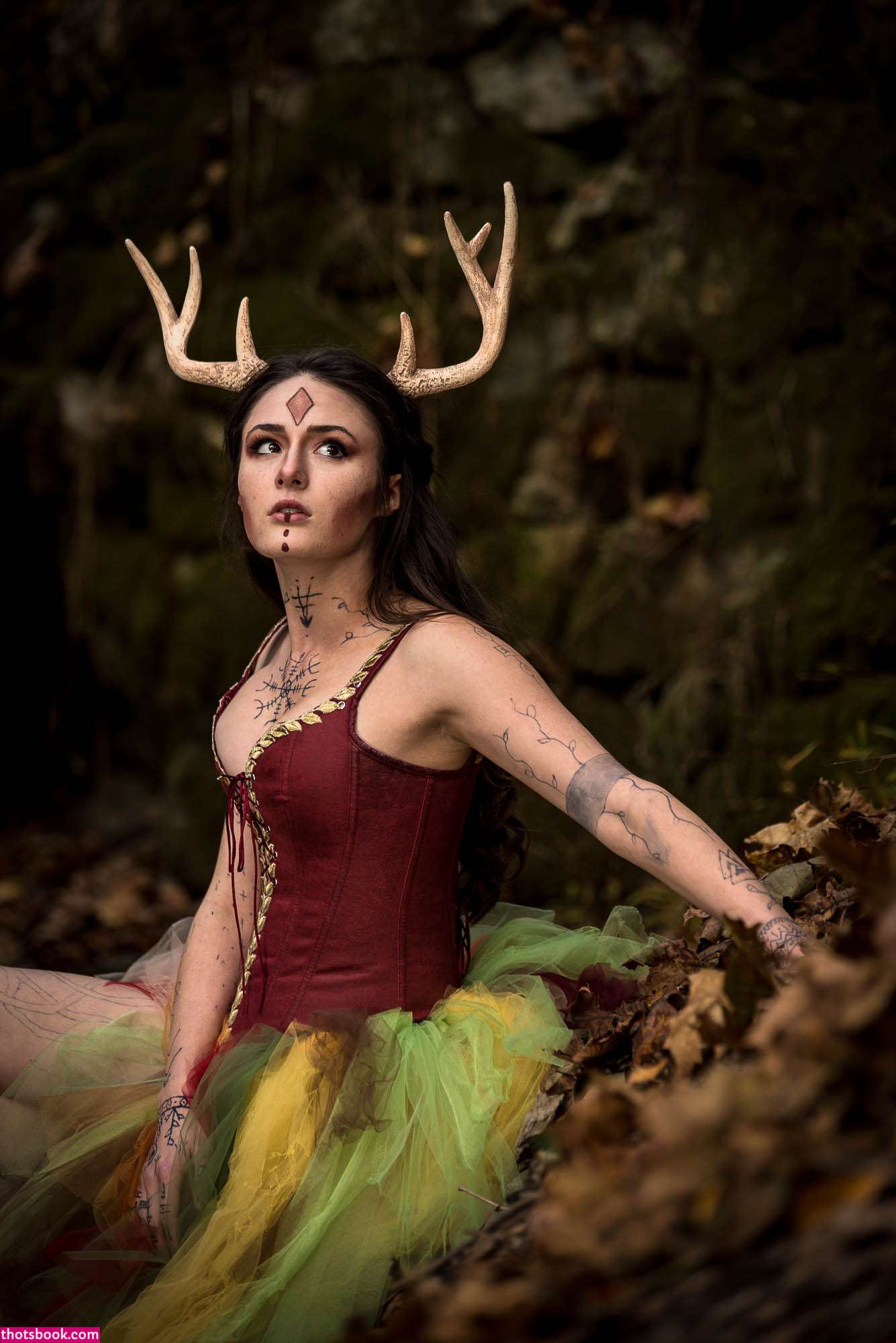 Creator Photo #1855726