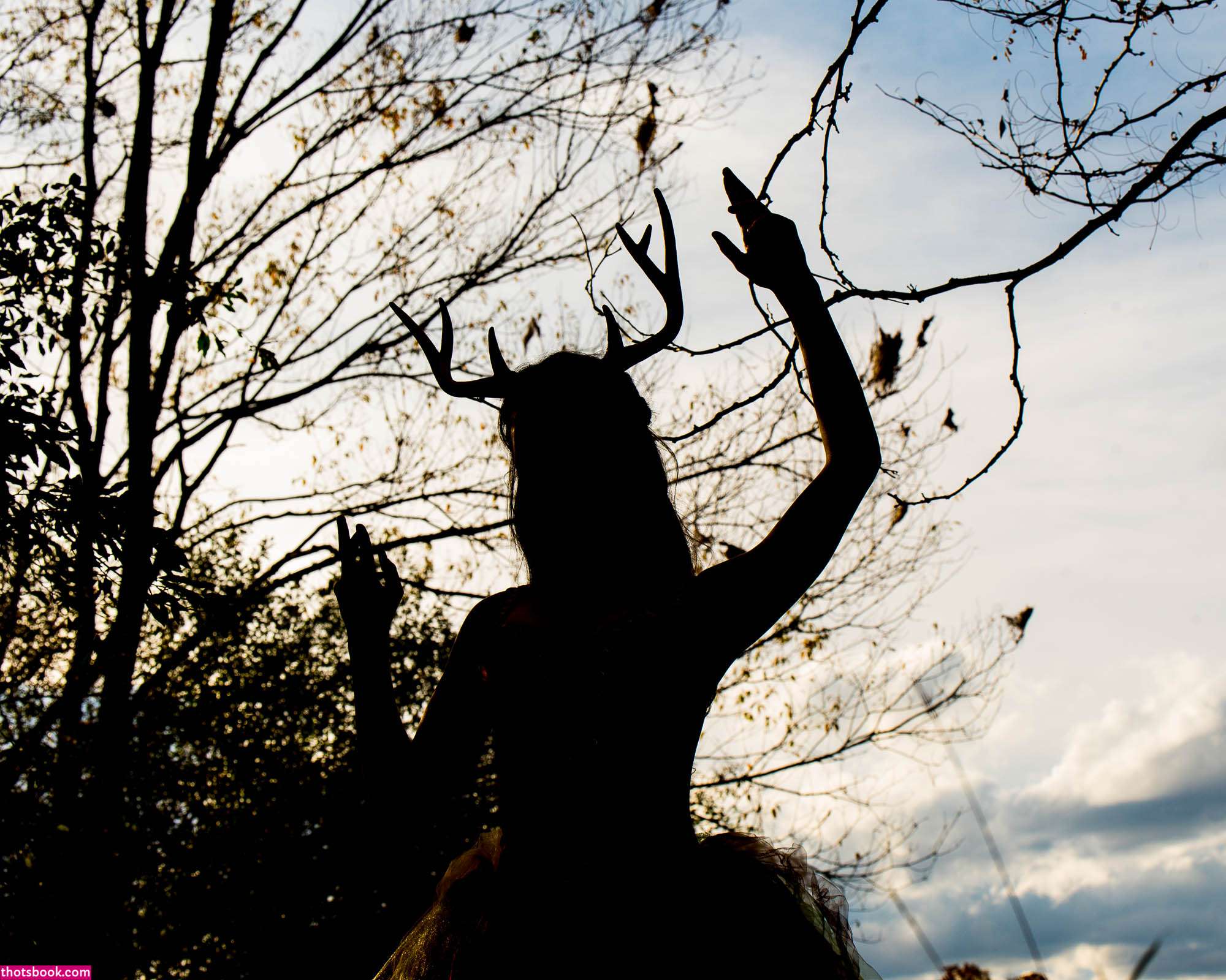 Creator Photo #1855728