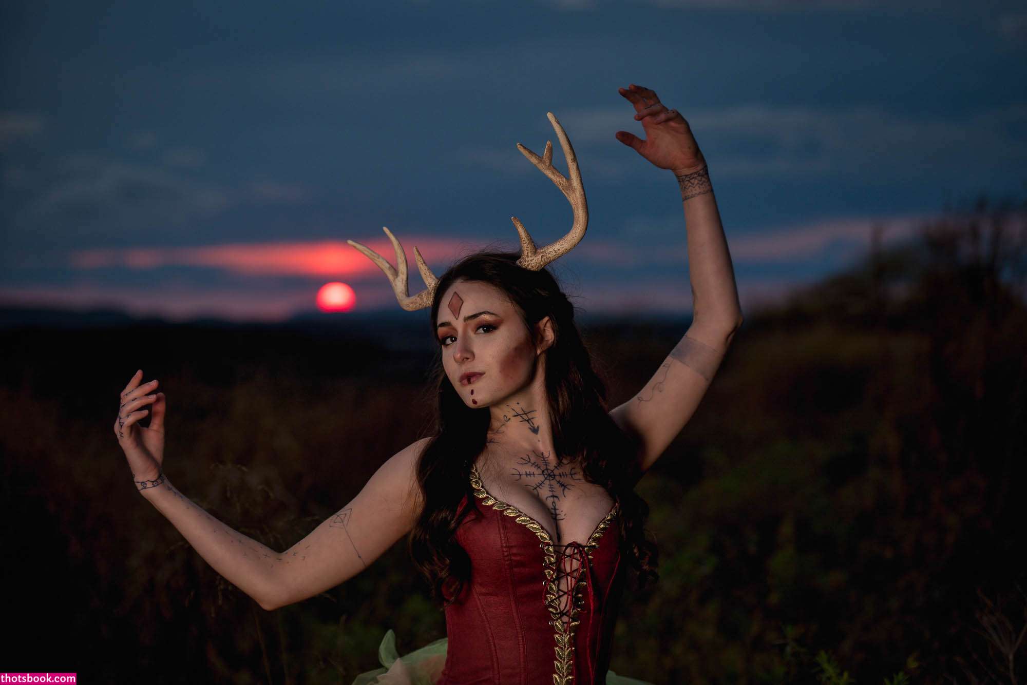 Creator Photo #1855729