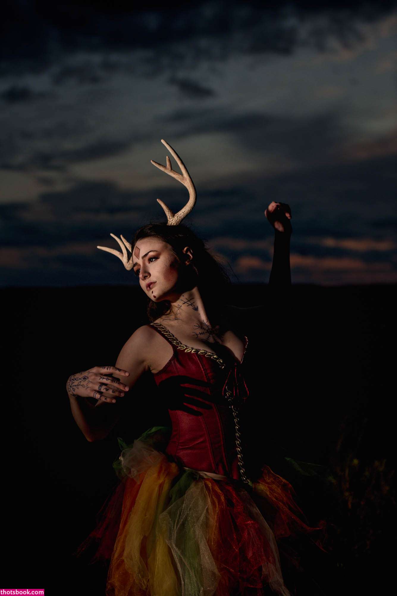 Creator Photo #1855730