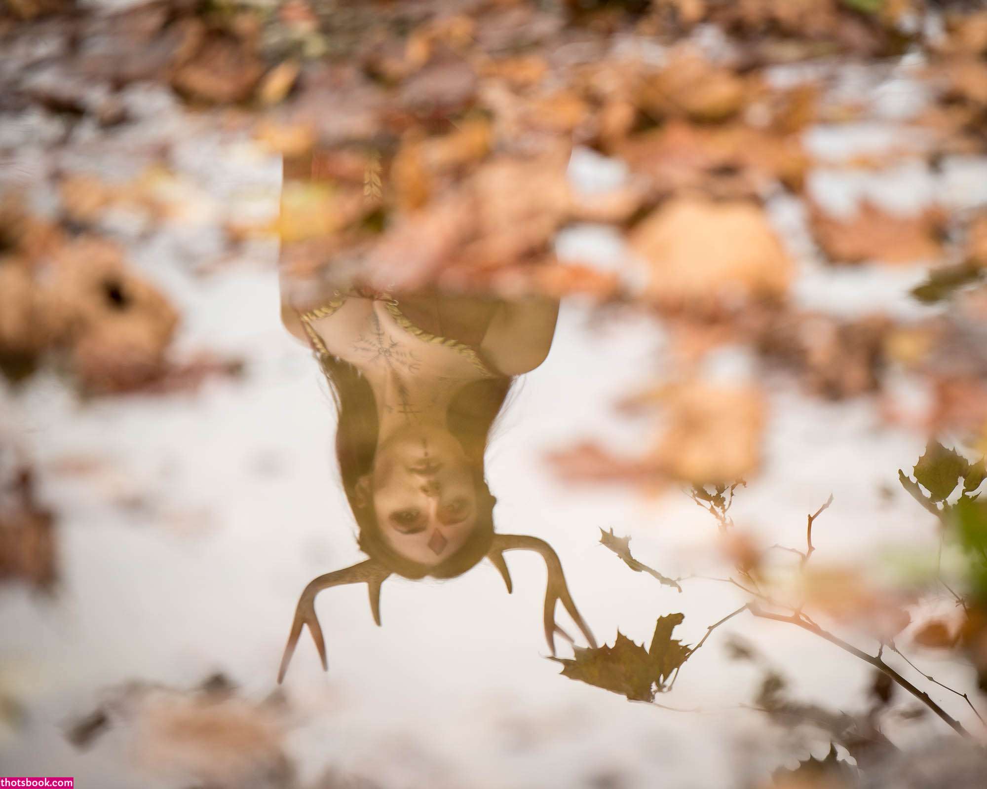 Creator Photo #1855731