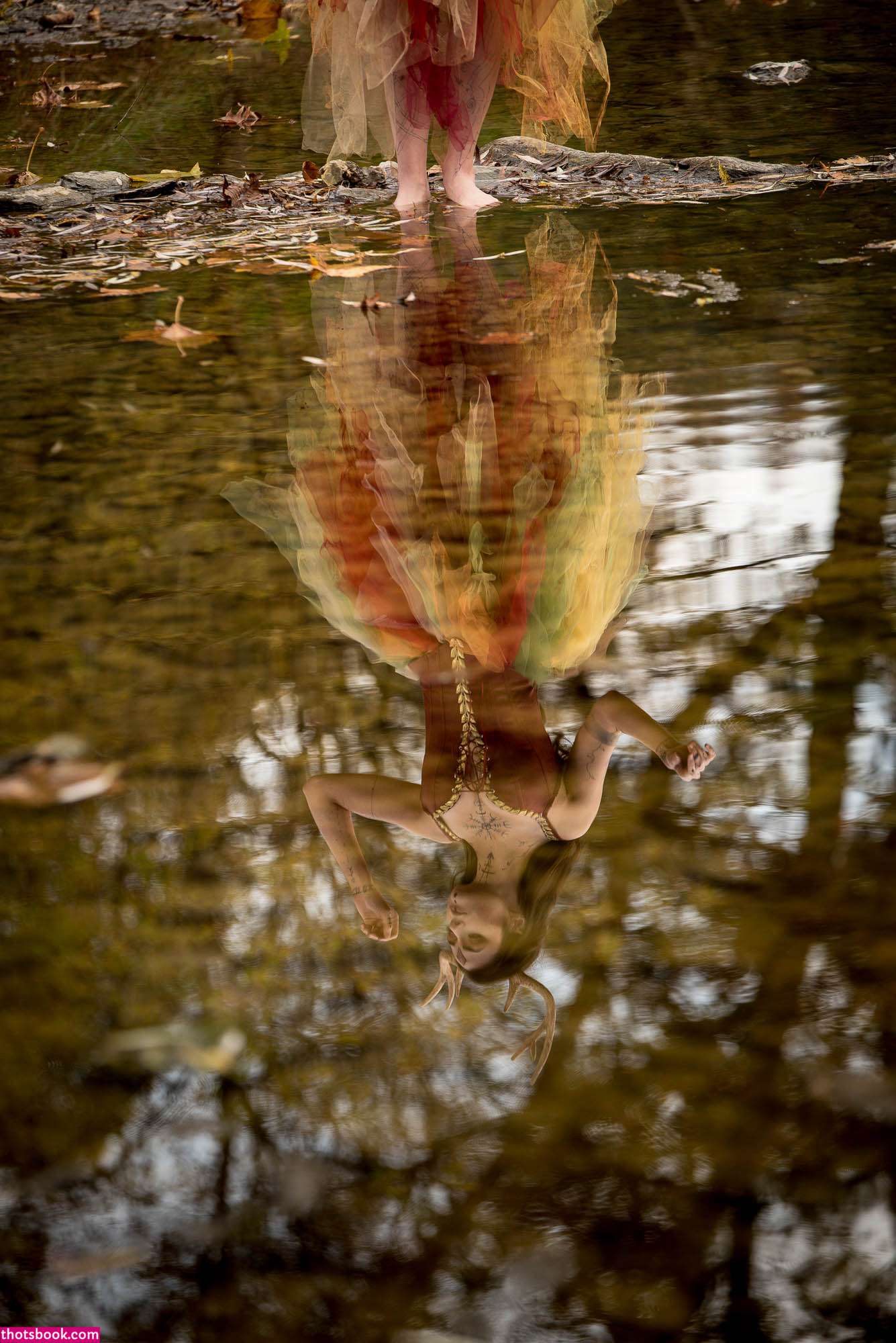 Creator Photo #1855733