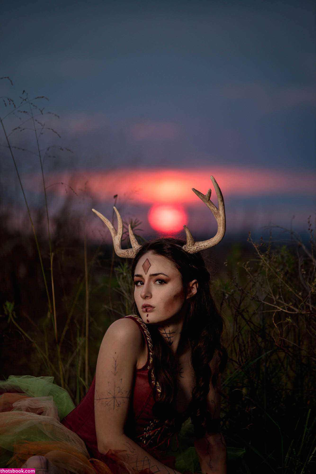 Creator Photo #1855734