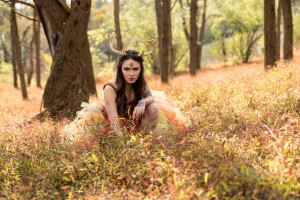 Creator Photo #1855727