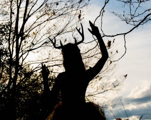 Creator Photo #1855728