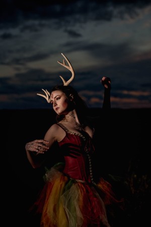 Creator Photo #1855730