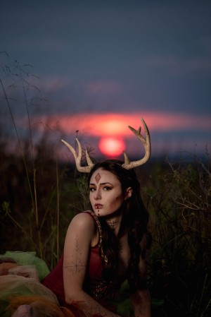 Creator Photo #1855734