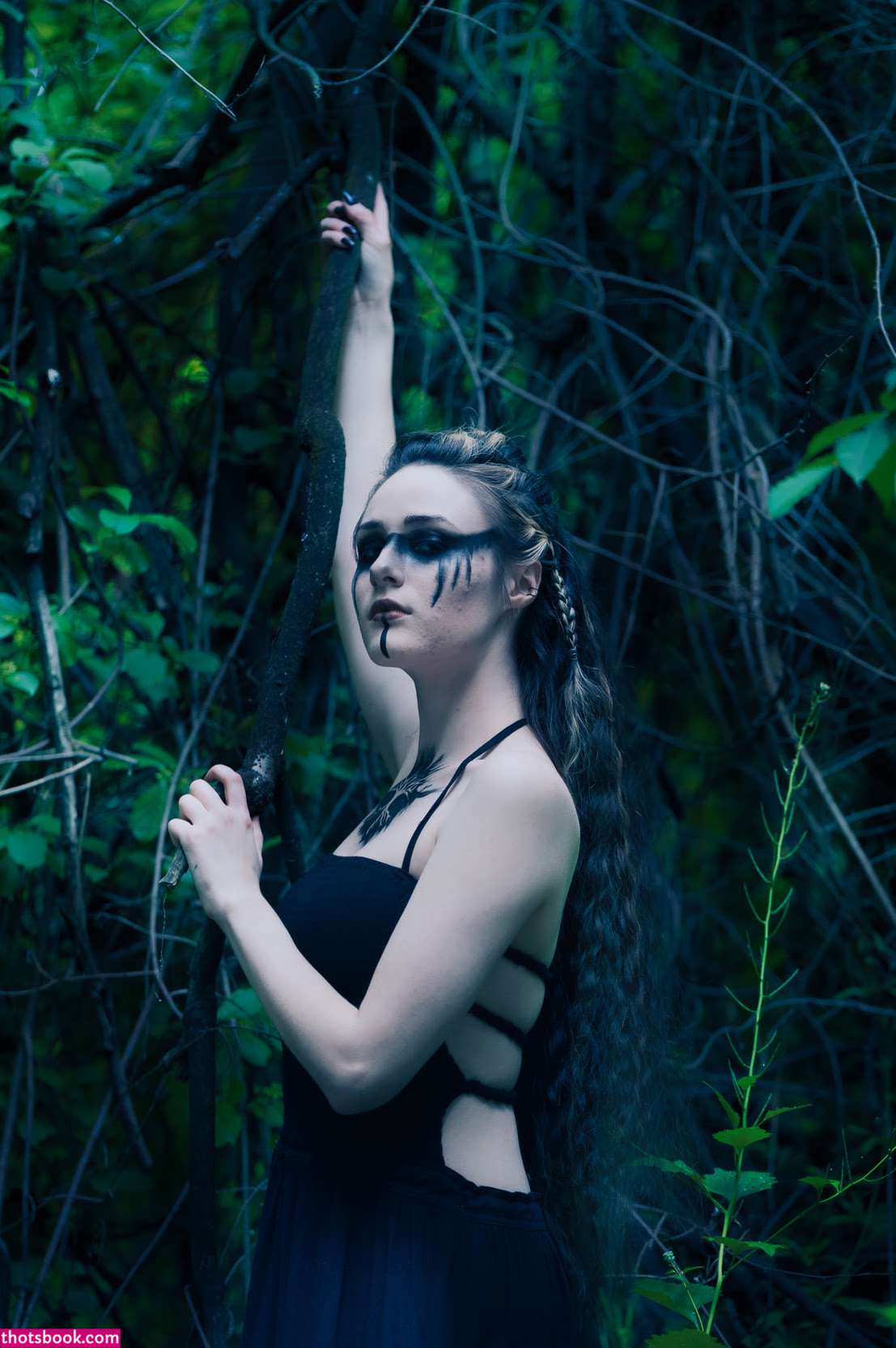 Creator Photo #1855736