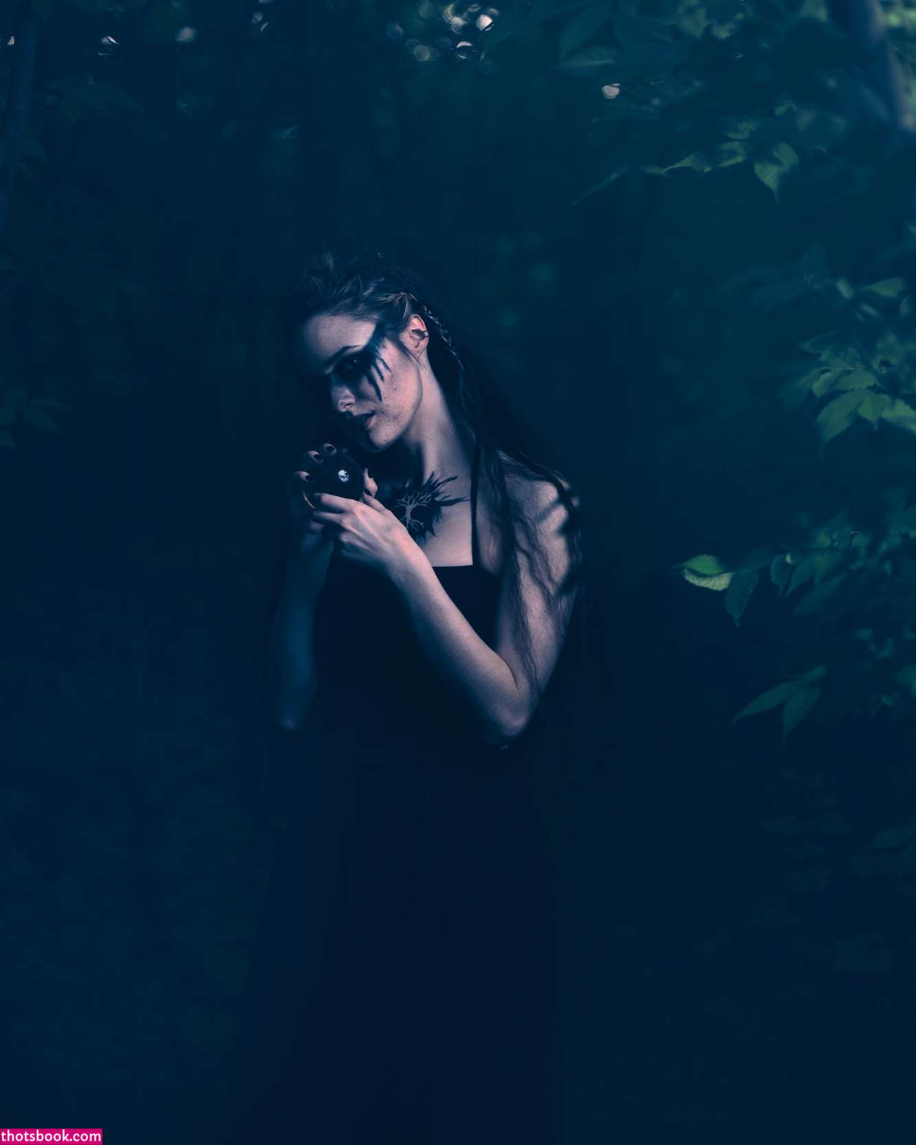 Creator Photo #1855739