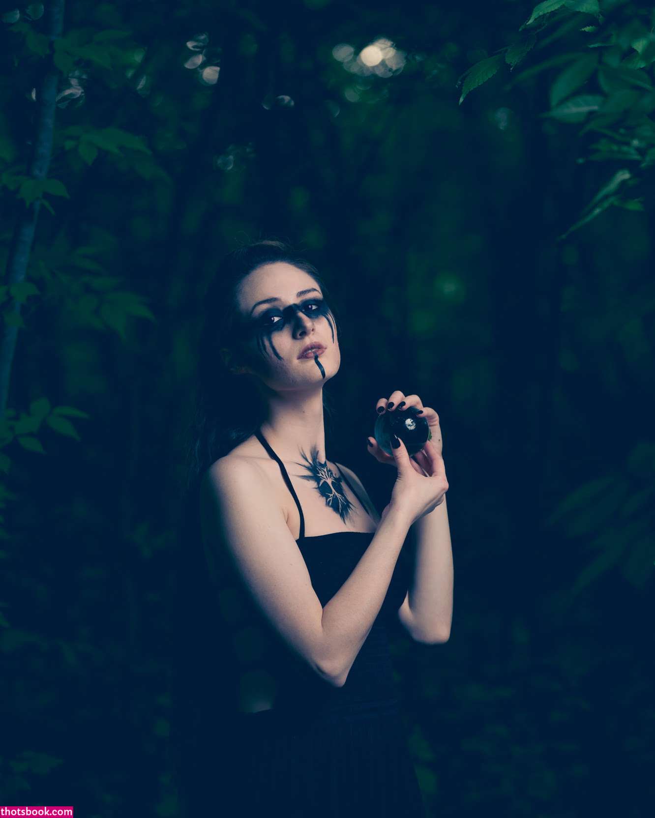 Creator Photo #1855740