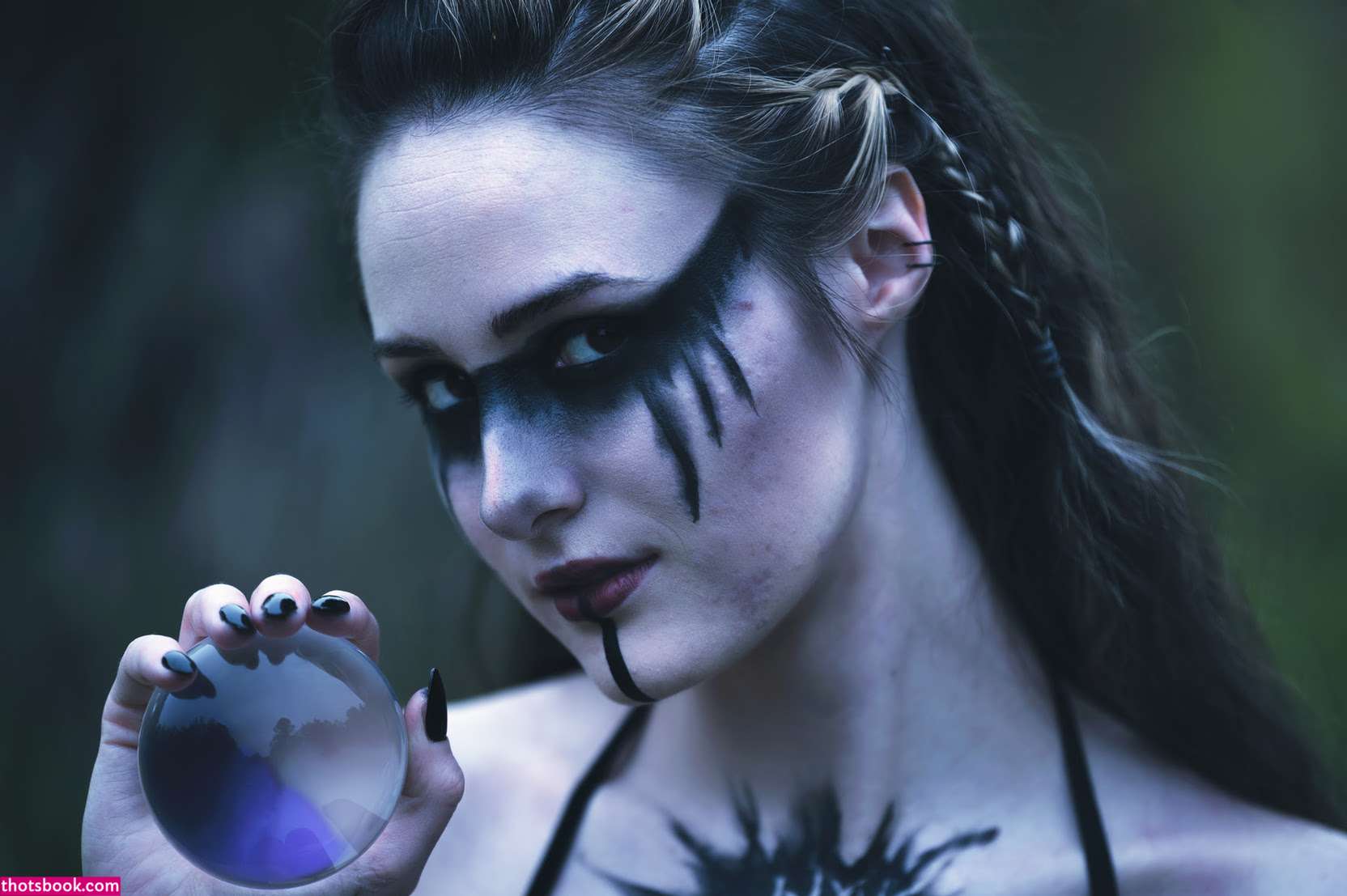 Creator Photo #1855741