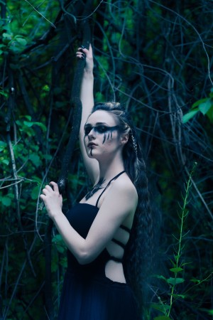 Creator Photo #1855736