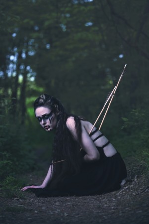 Creator Photo #1855737