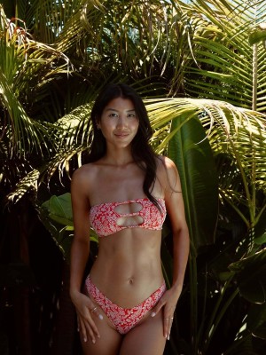 Creator Photo #1855914