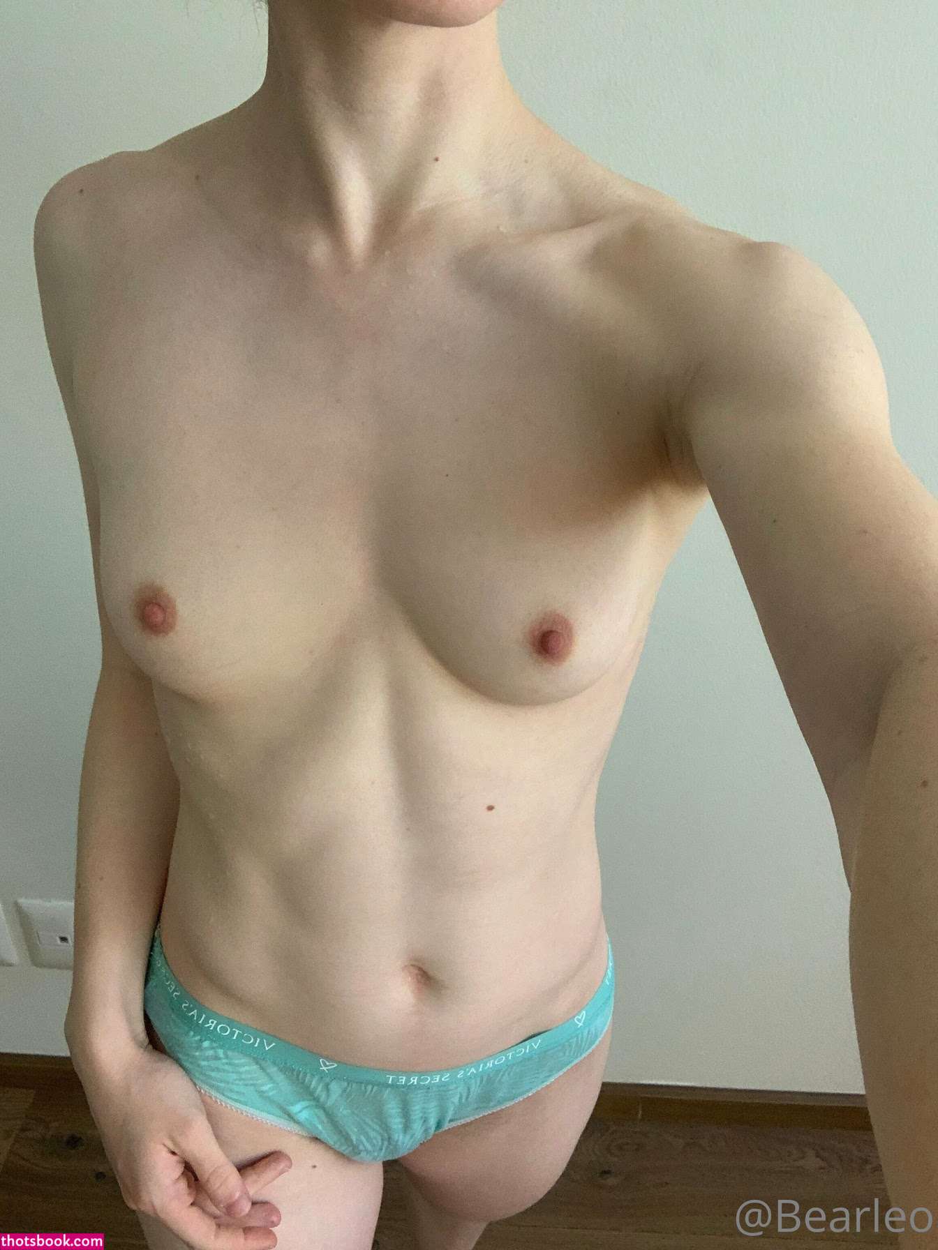 Creator Photo #1845570