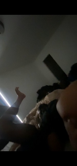 Creator Photo #1845947