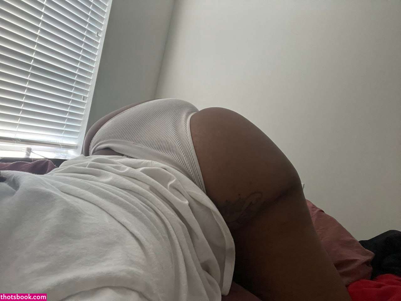 Creator Photo #1845960