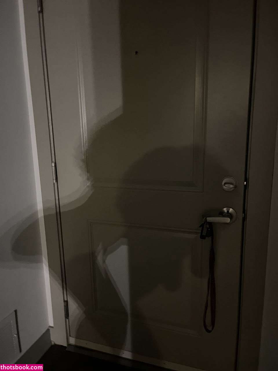 Creator Photo #1845967