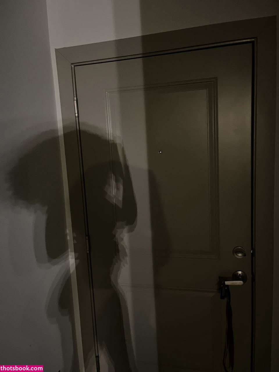 Creator Photo #1845974