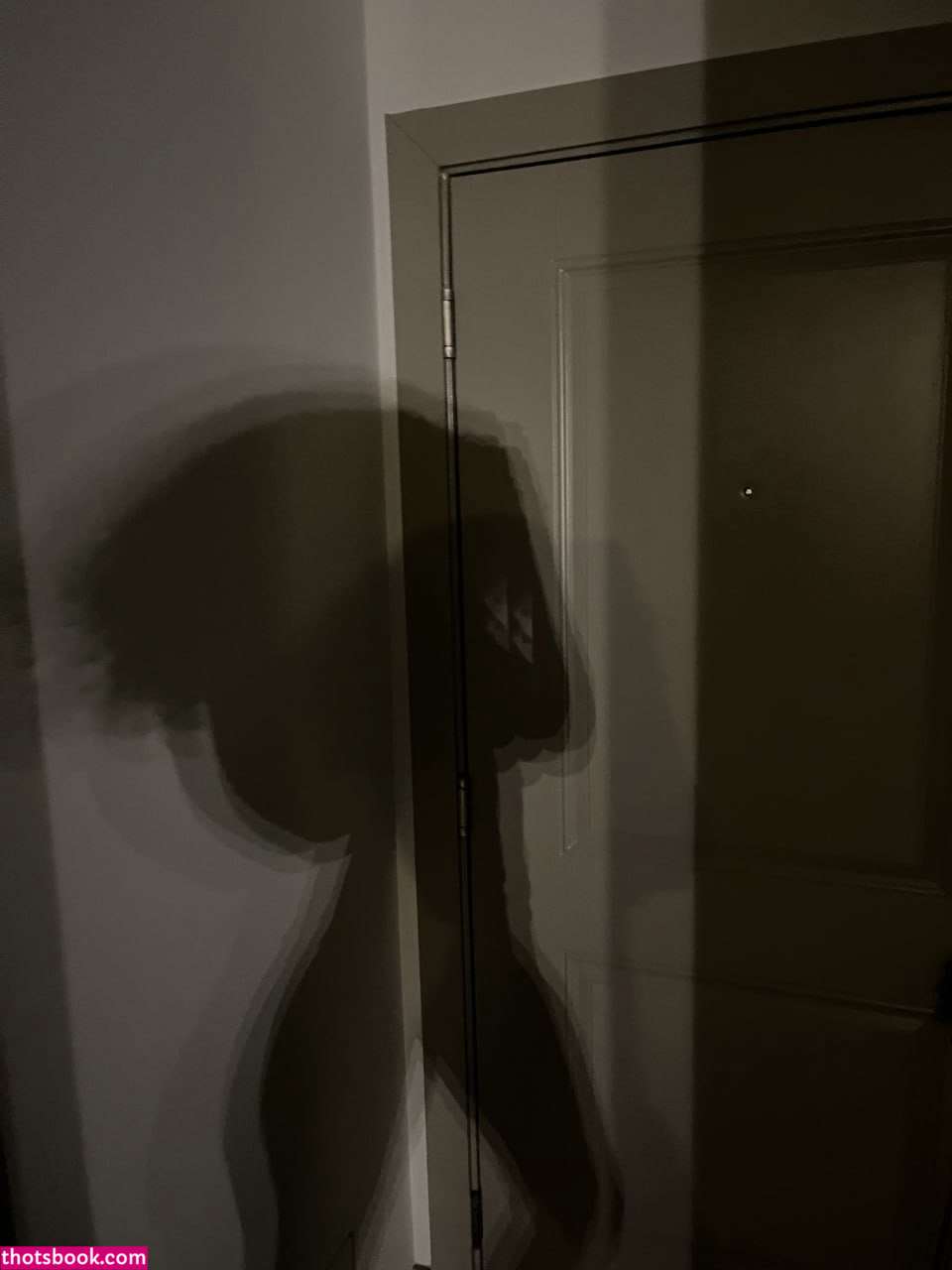 Creator Photo #1845975