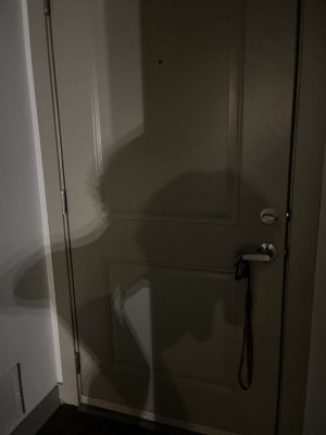 Creator Photo #1845967