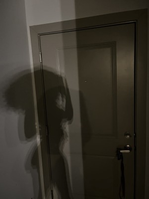 Creator Photo #1845974