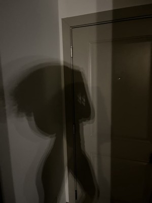 Creator Photo #1845975