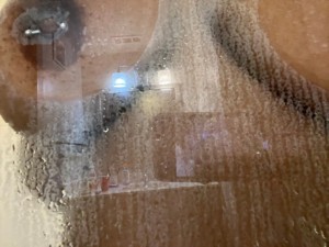 Creator Photo #1845982