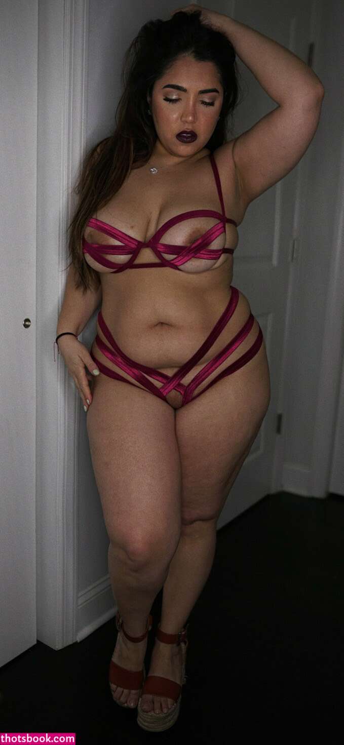 Yungparchita Photo #41