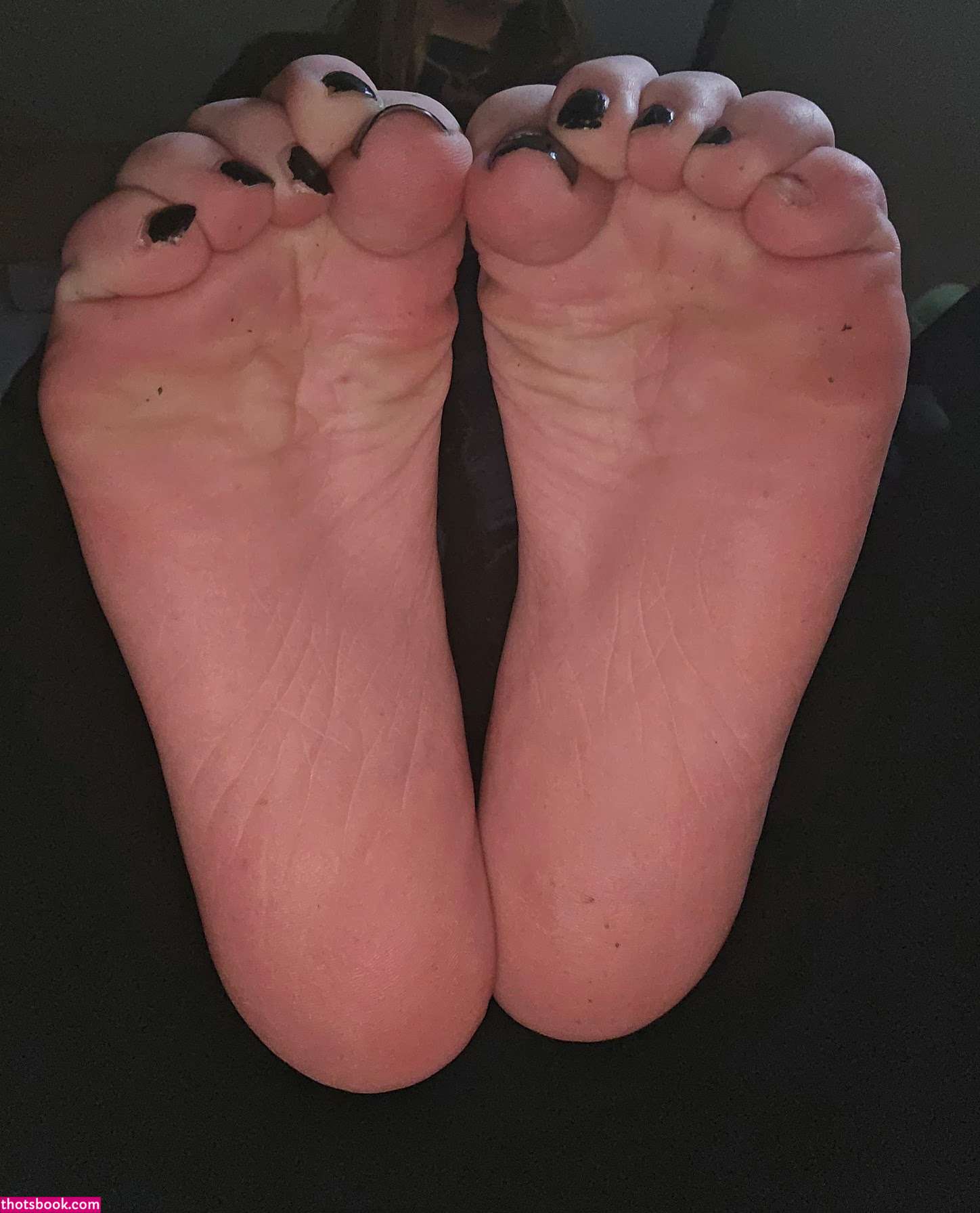 puppyc0ded Photo #11