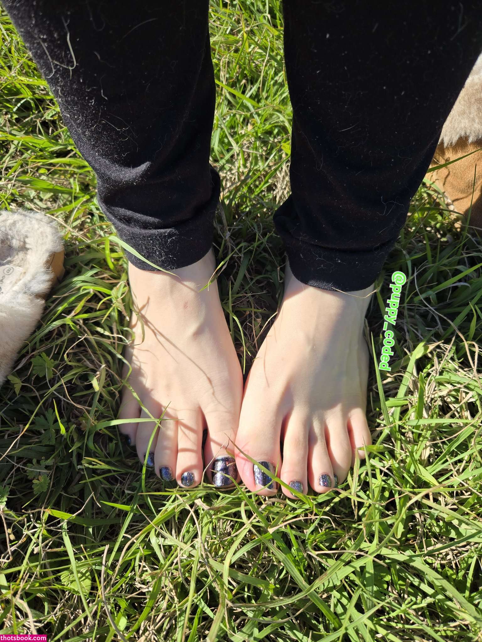 puppyc0ded Photo #14