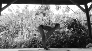 Stella Light Video #43