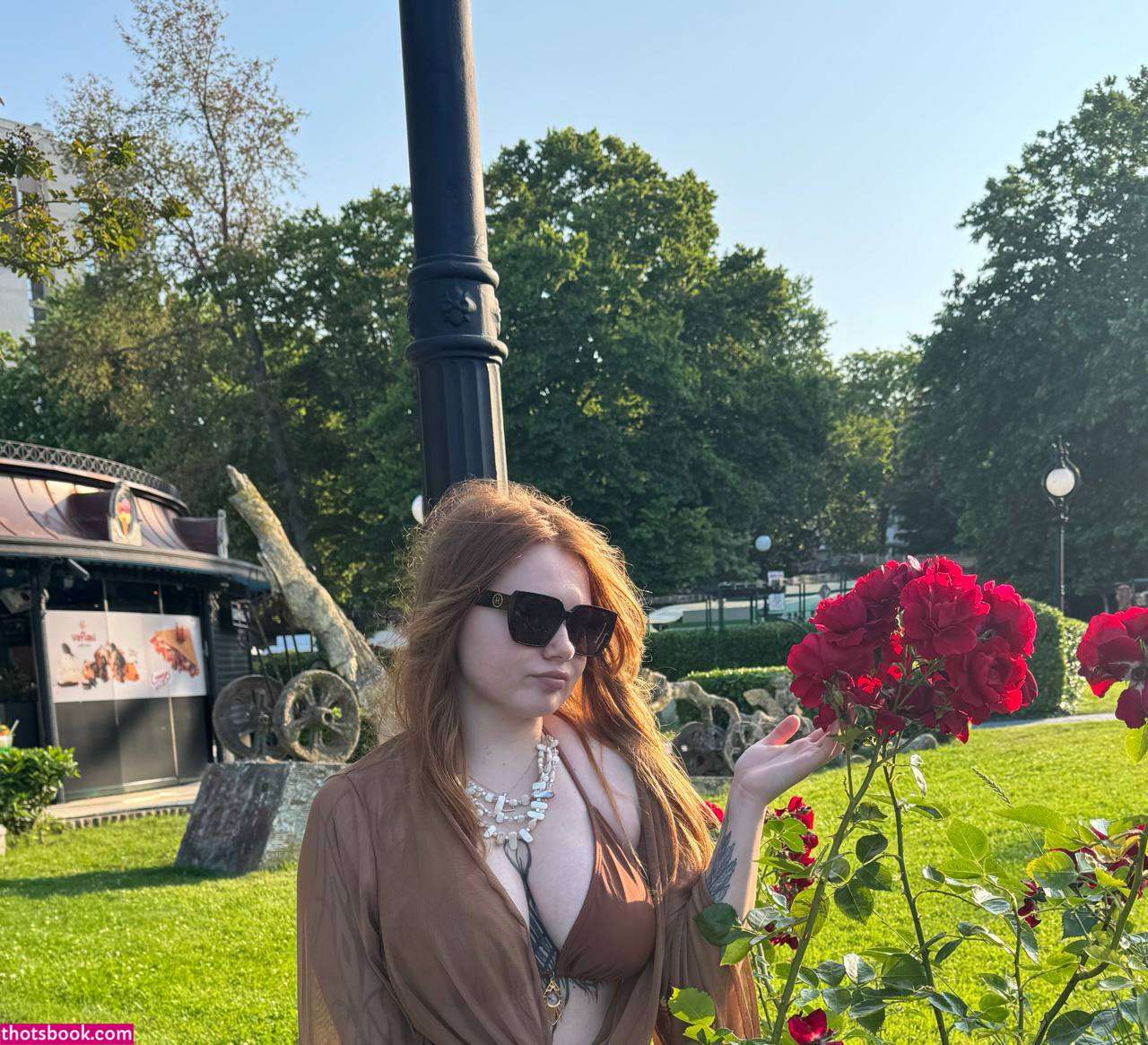 Creator Photo #1838993