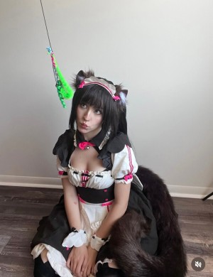 Moronic Mouse Photo #10