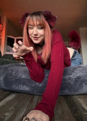 Moronic Mouse Photo #18