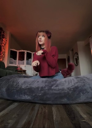 Moronic Mouse Photo #19