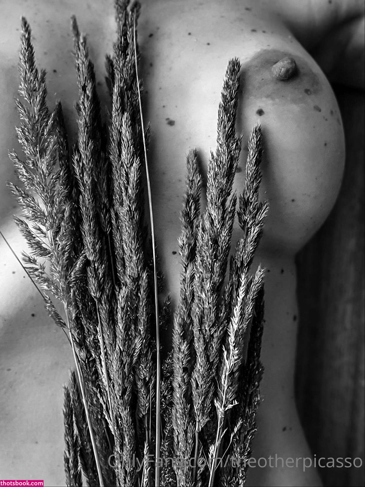 Theotherpicasso Photo #23