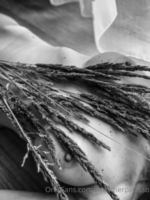 Theotherpicasso Photo #16