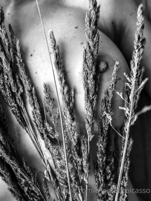 Theotherpicasso Post #2