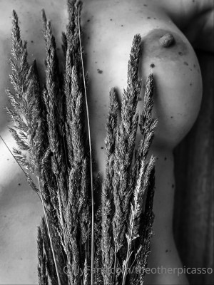 Theotherpicasso Photo #23