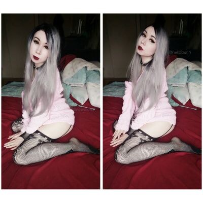 Creator Photo #13165