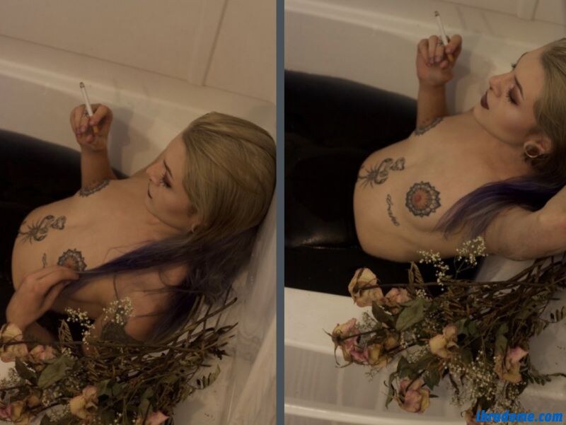 Creator Photo #11375