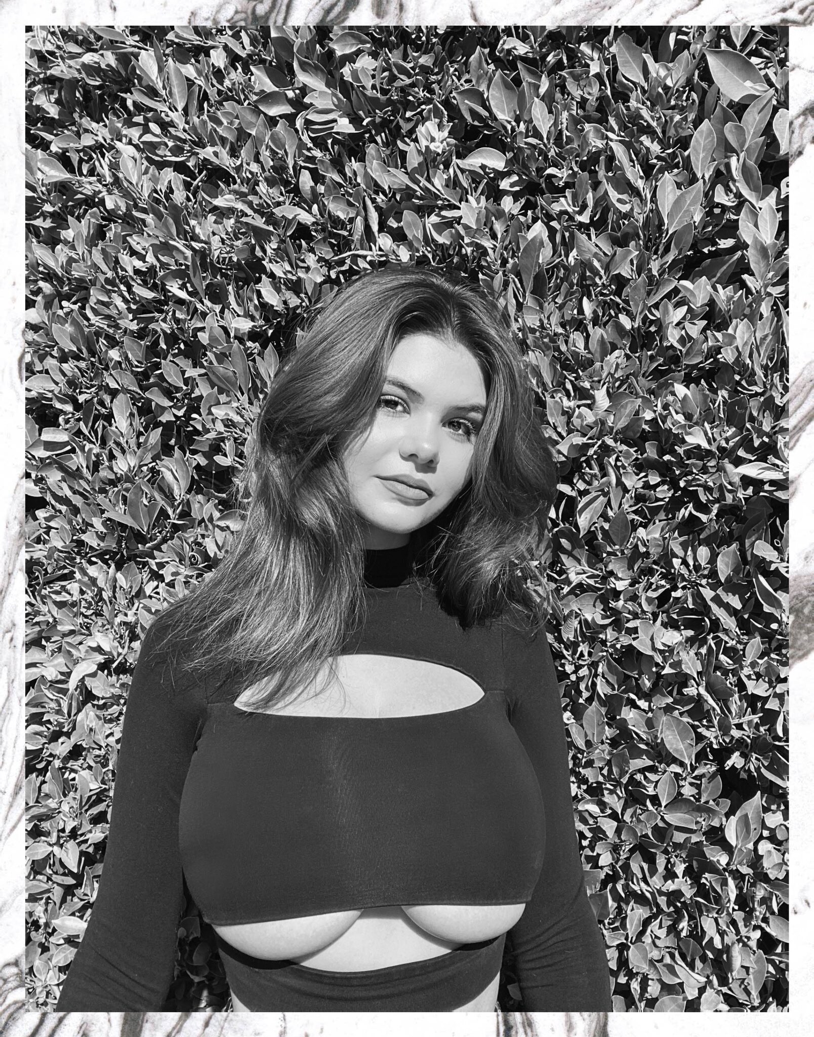 Ashley Tervort Photo #825