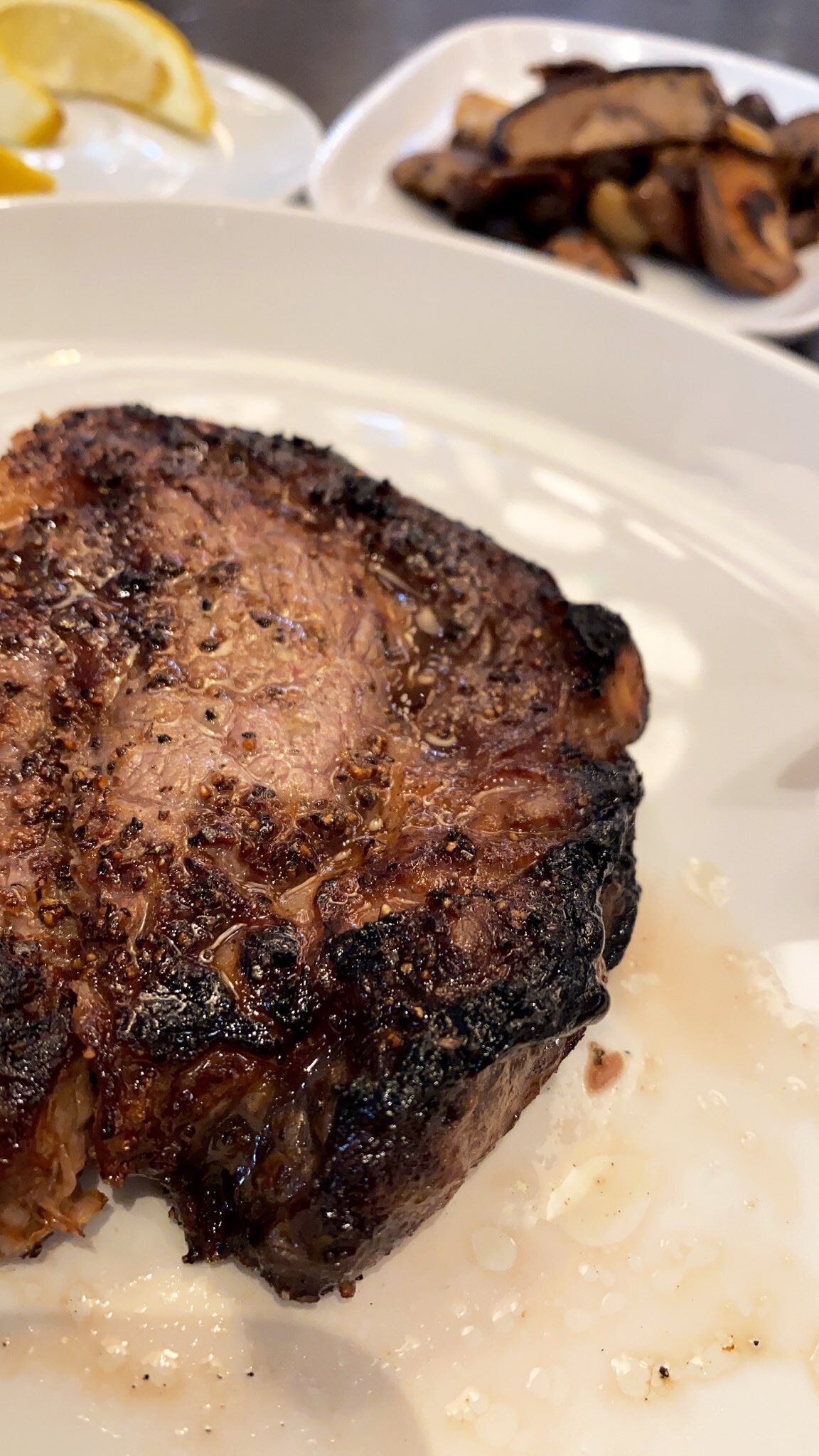 Ashley Tervort Photo #894