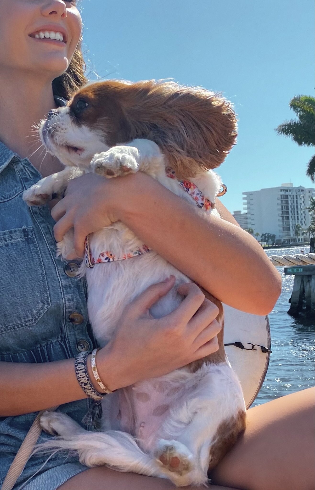 Ashley Tervort Photo #900