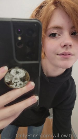 Willow Trie Photo #44